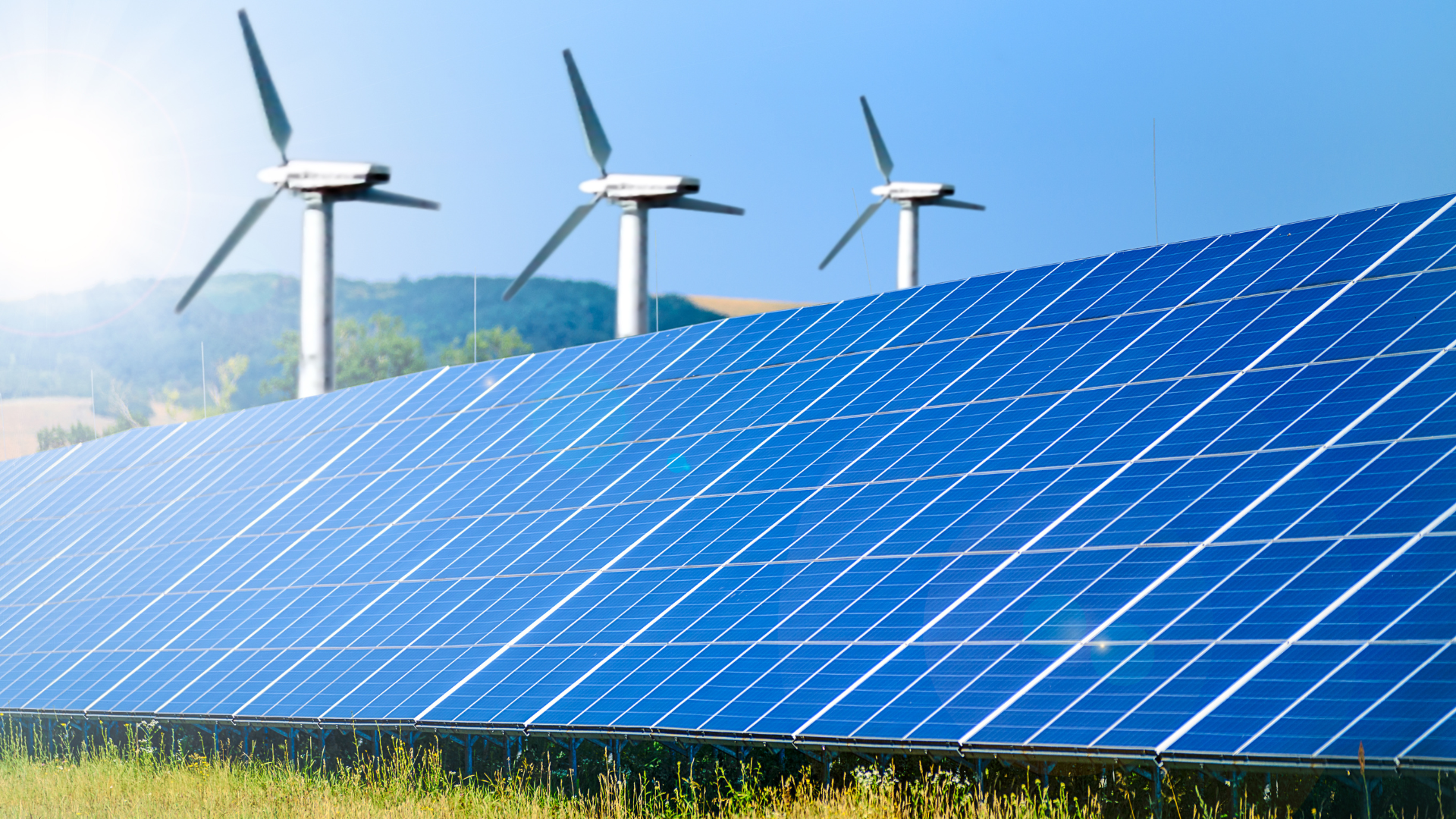 Energy Transition Survey 2026 | Bureau Veritas