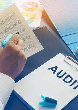 Audit u dodavatele