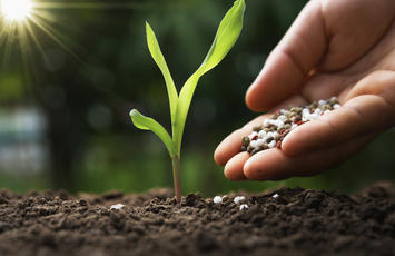 Hnojiva Bureau Veritas Czech